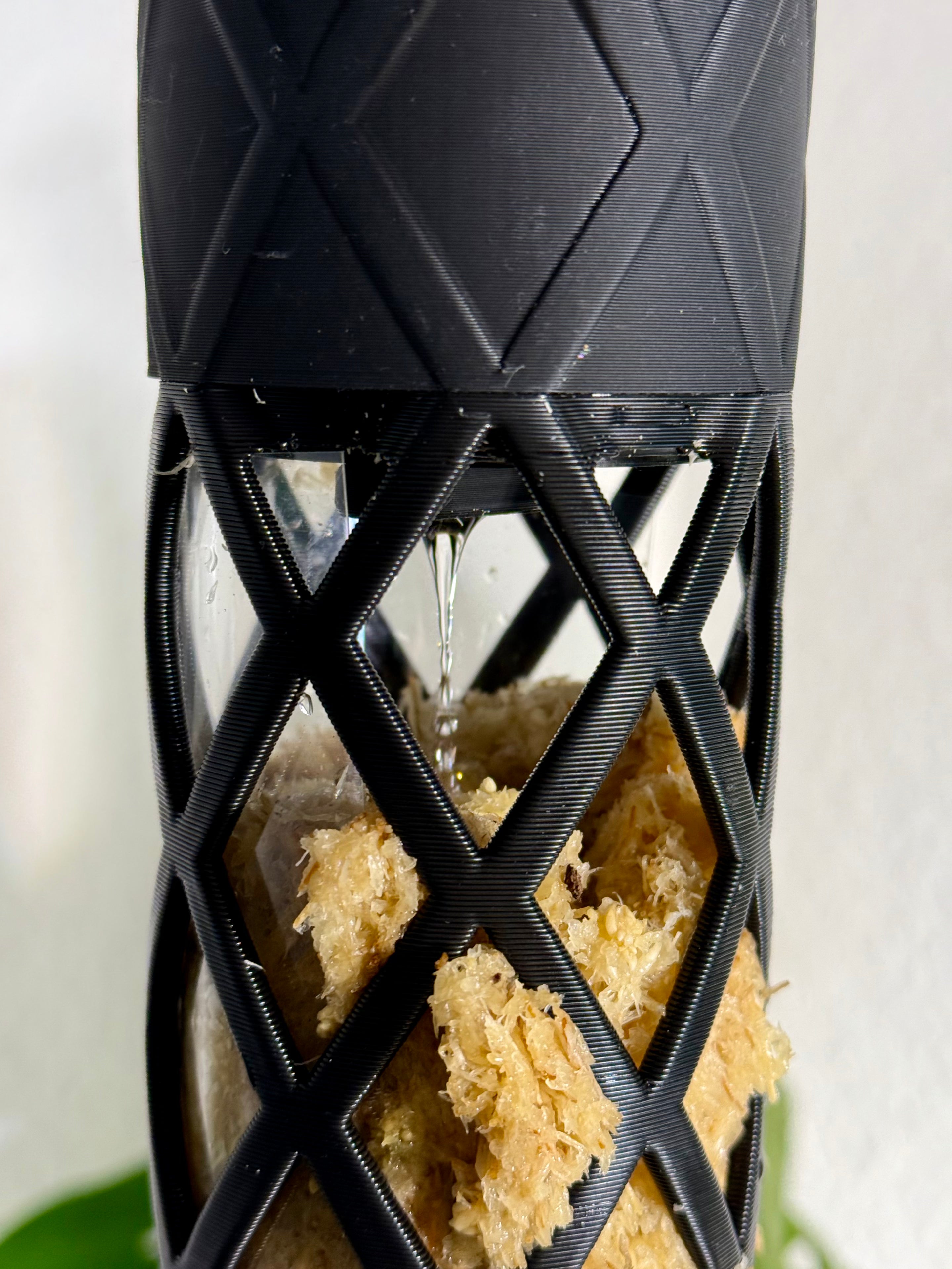 Moosstab Gießen: So machst Du es richtig