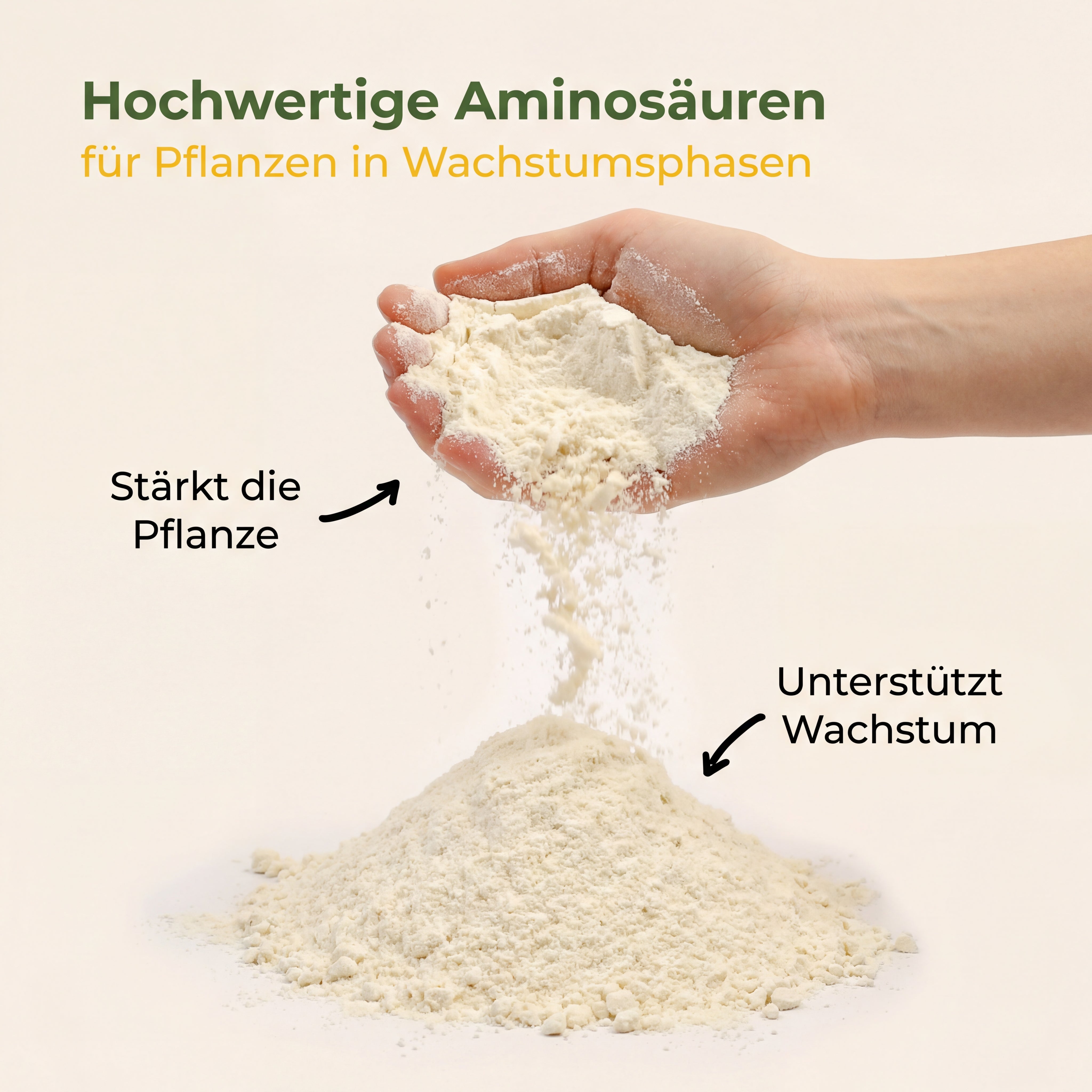 PlantMe Thrive Aminosäuren für Pflanzen, Zur Anwendung in aktiven Wachstumsphasen, Ideal für Monstera, Philodendron