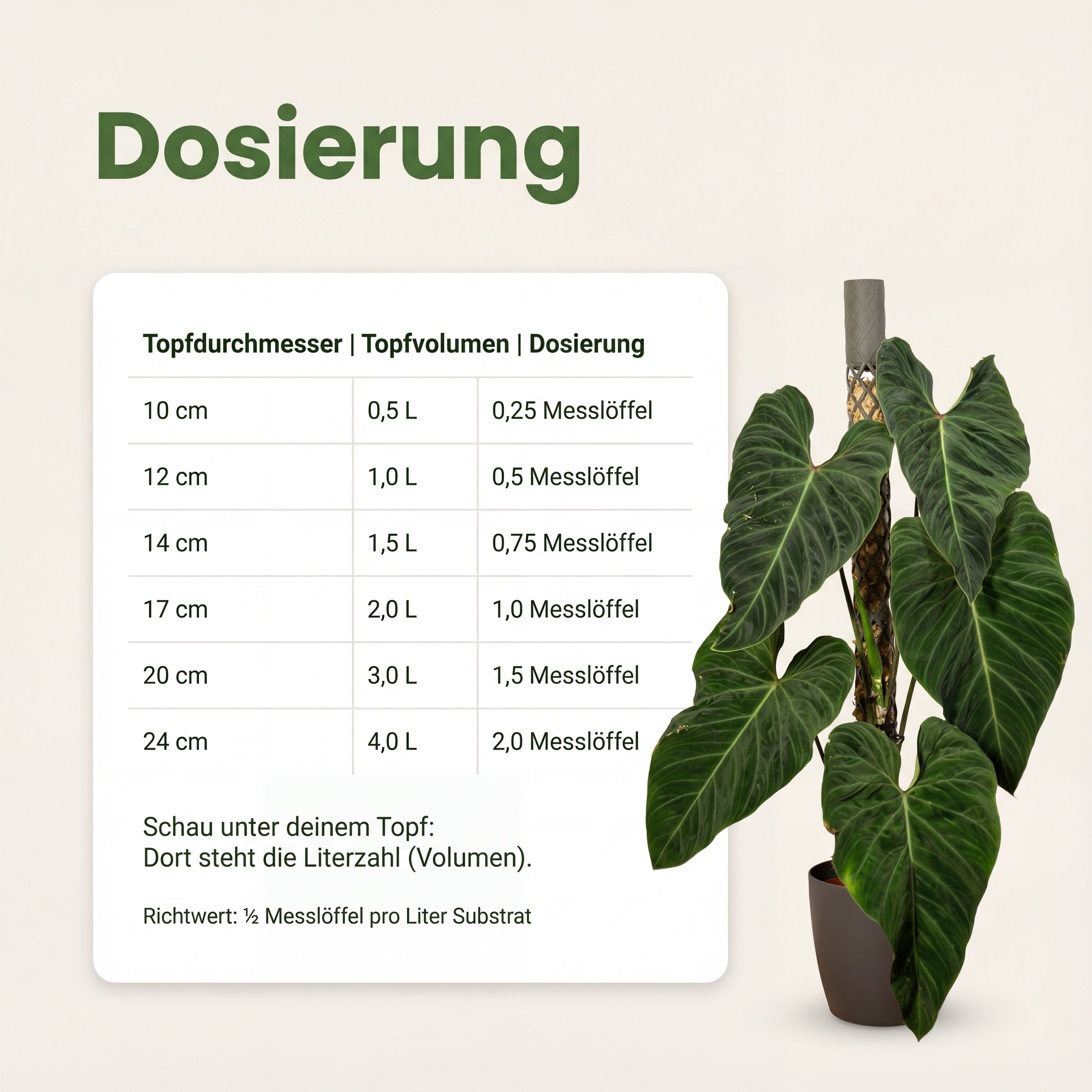 Zimmerpflanzen Dünger, Monstera Dünger, Philodendron, Anthurien, Alocasia, 6 Monate Depotwirkung