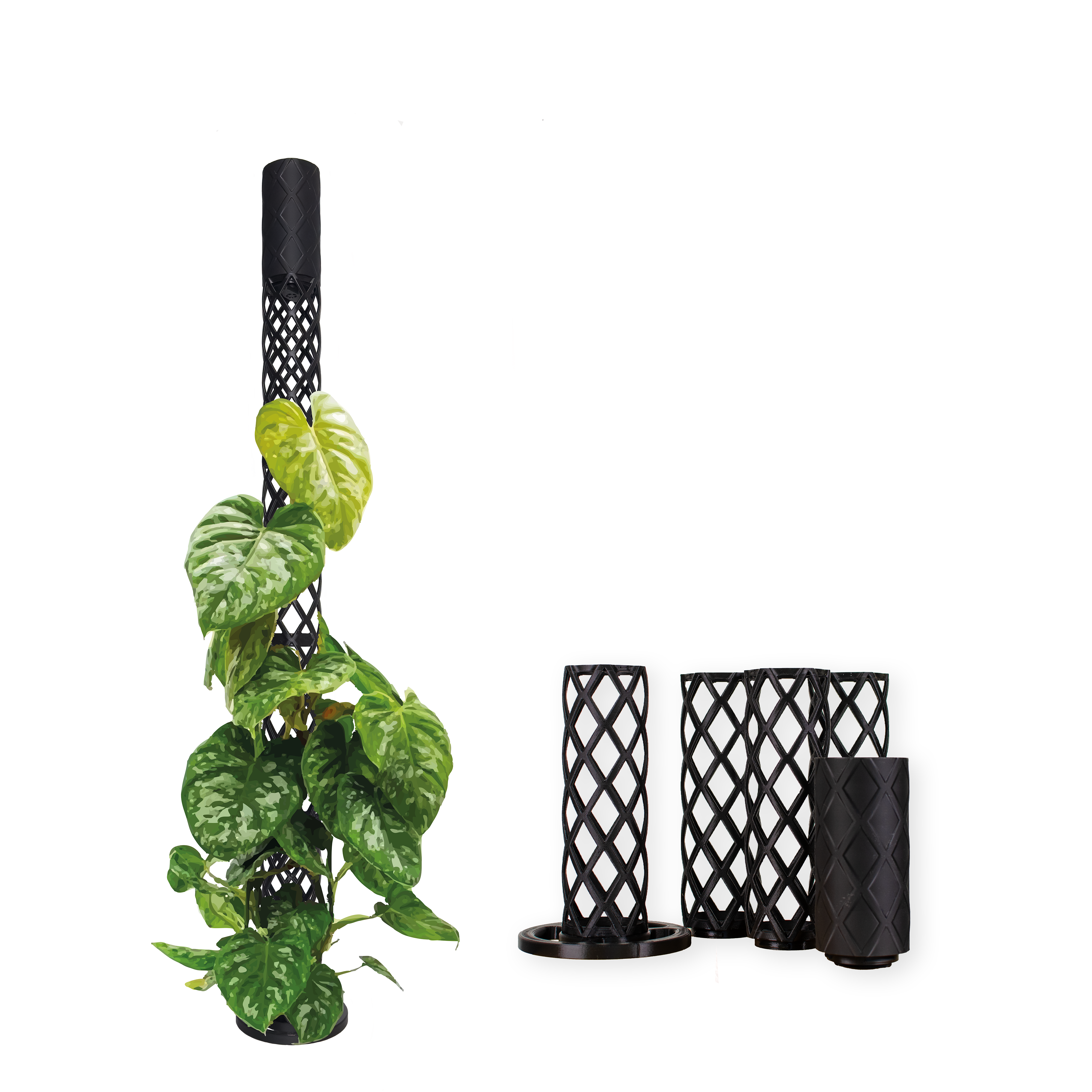 Moosstab Maxi Komplett-Set 80cm inkl. Sphagnummoos