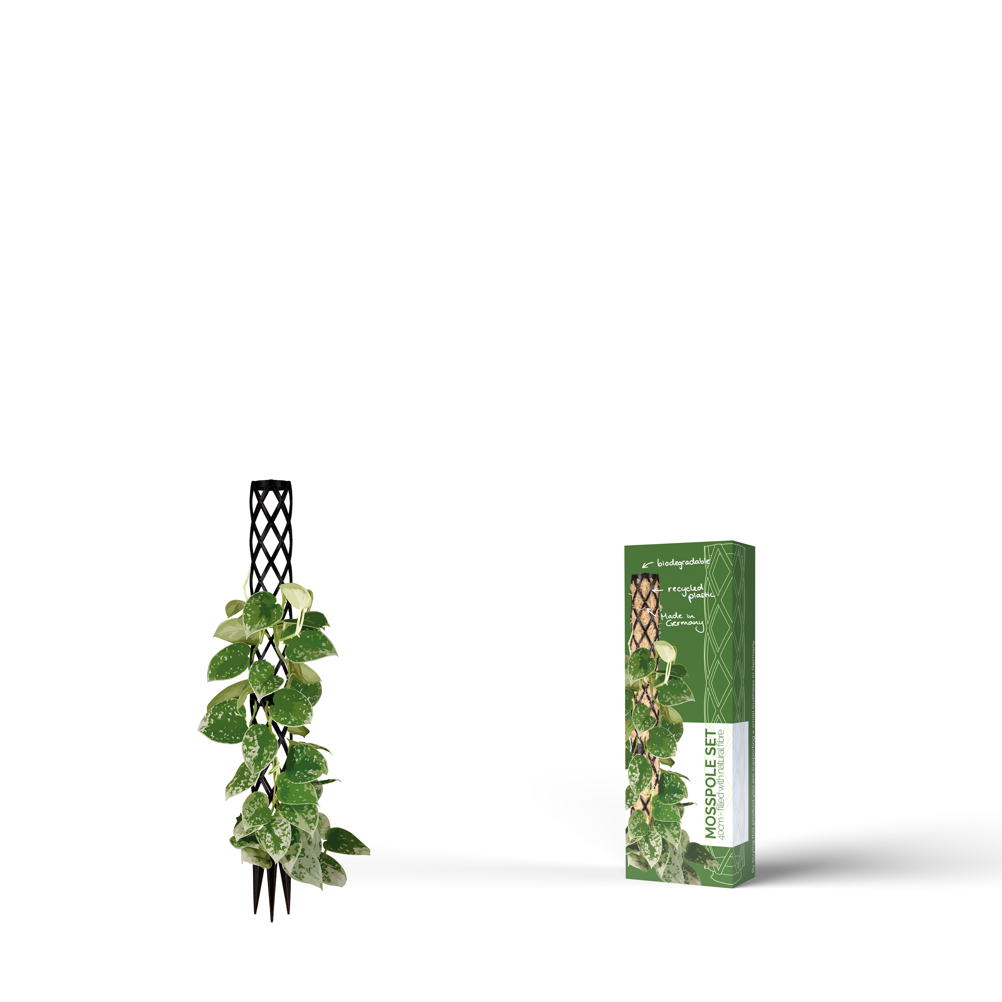 Moosstab Mini Set 40cm