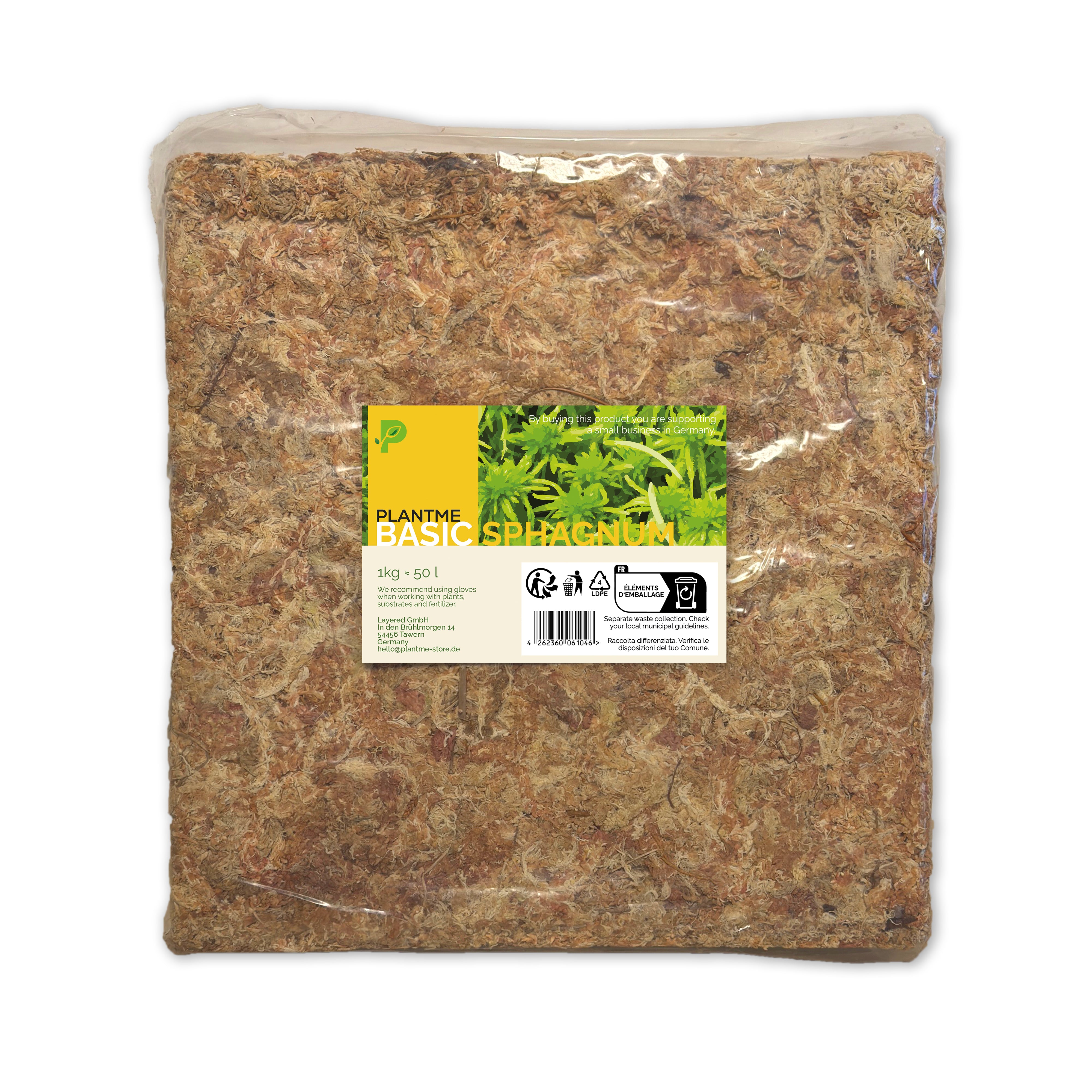 Sphagnum Moos aus Chile