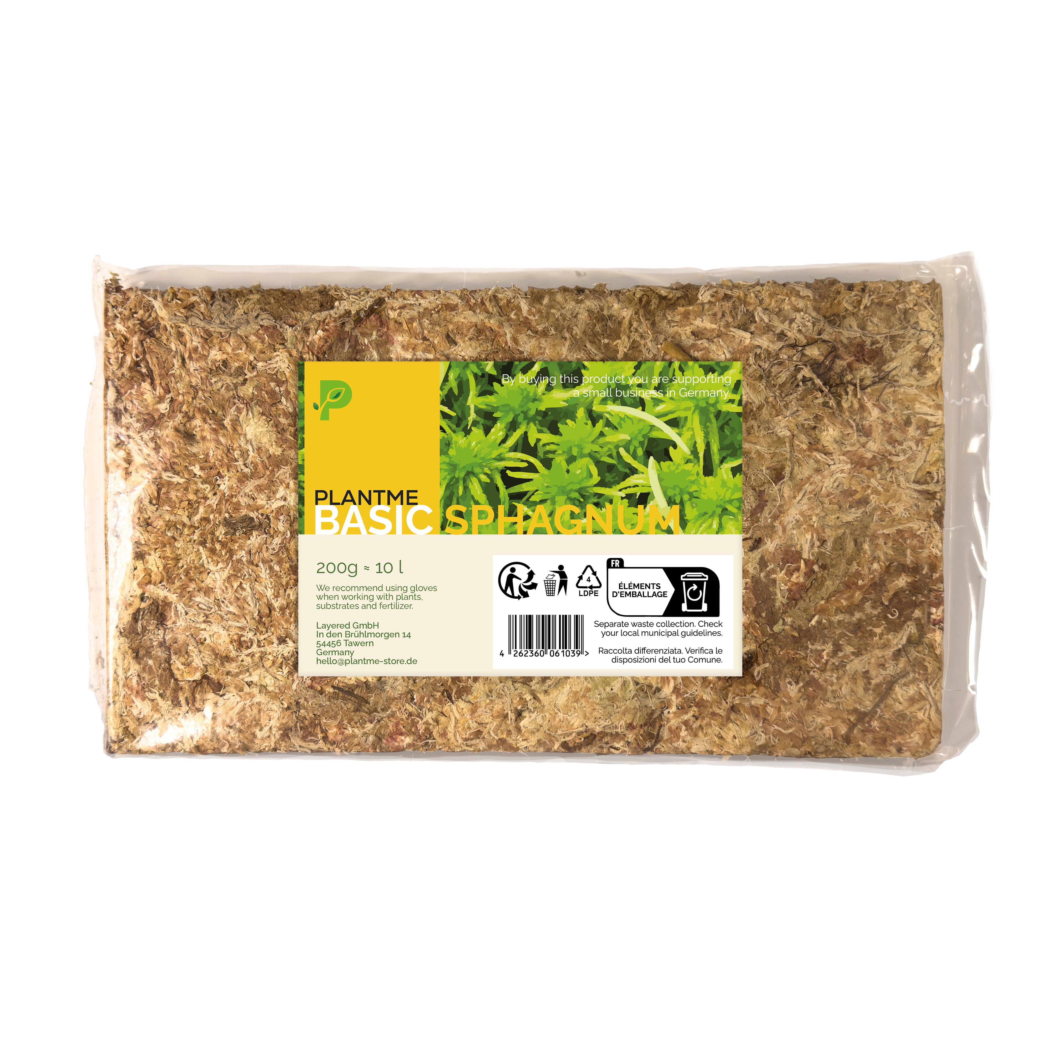 Sphagnum Moos aus Chile