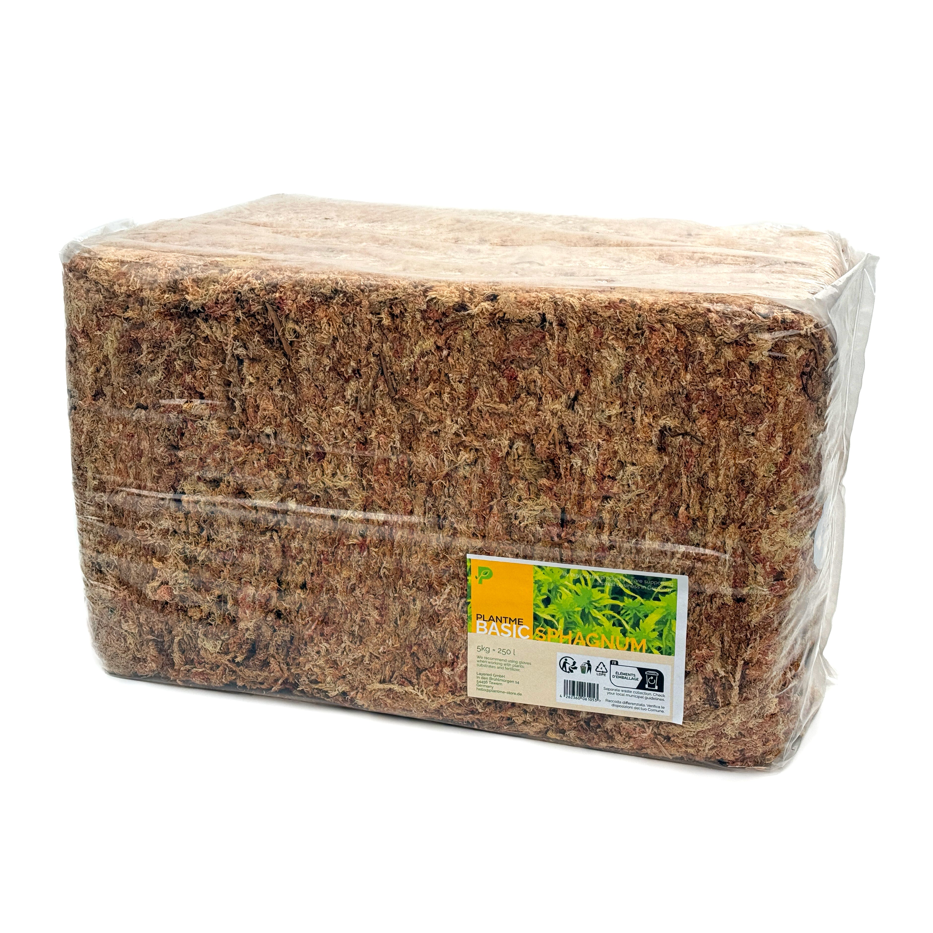 Sphagnum Moos aus Chile