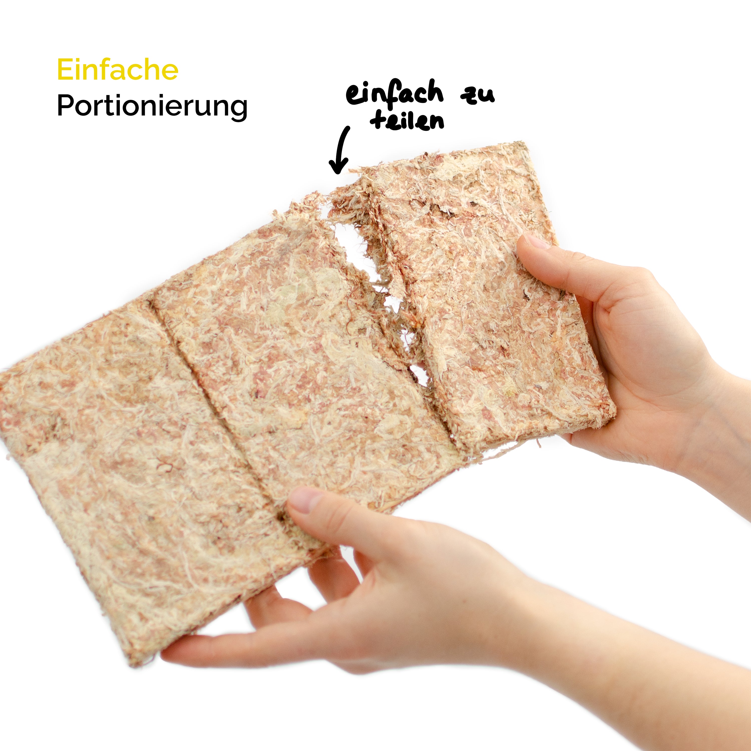 Sphagnum Moos aus Chile