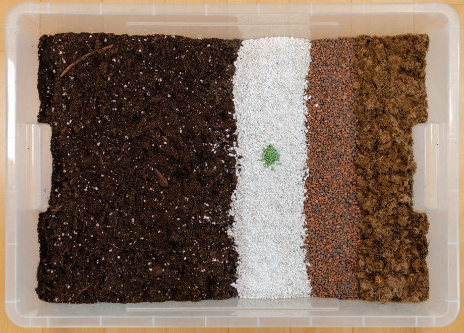 Aroid Mix: Die beste Monstera Erde & Philodendron Erde (inkl. Mischanleitung)