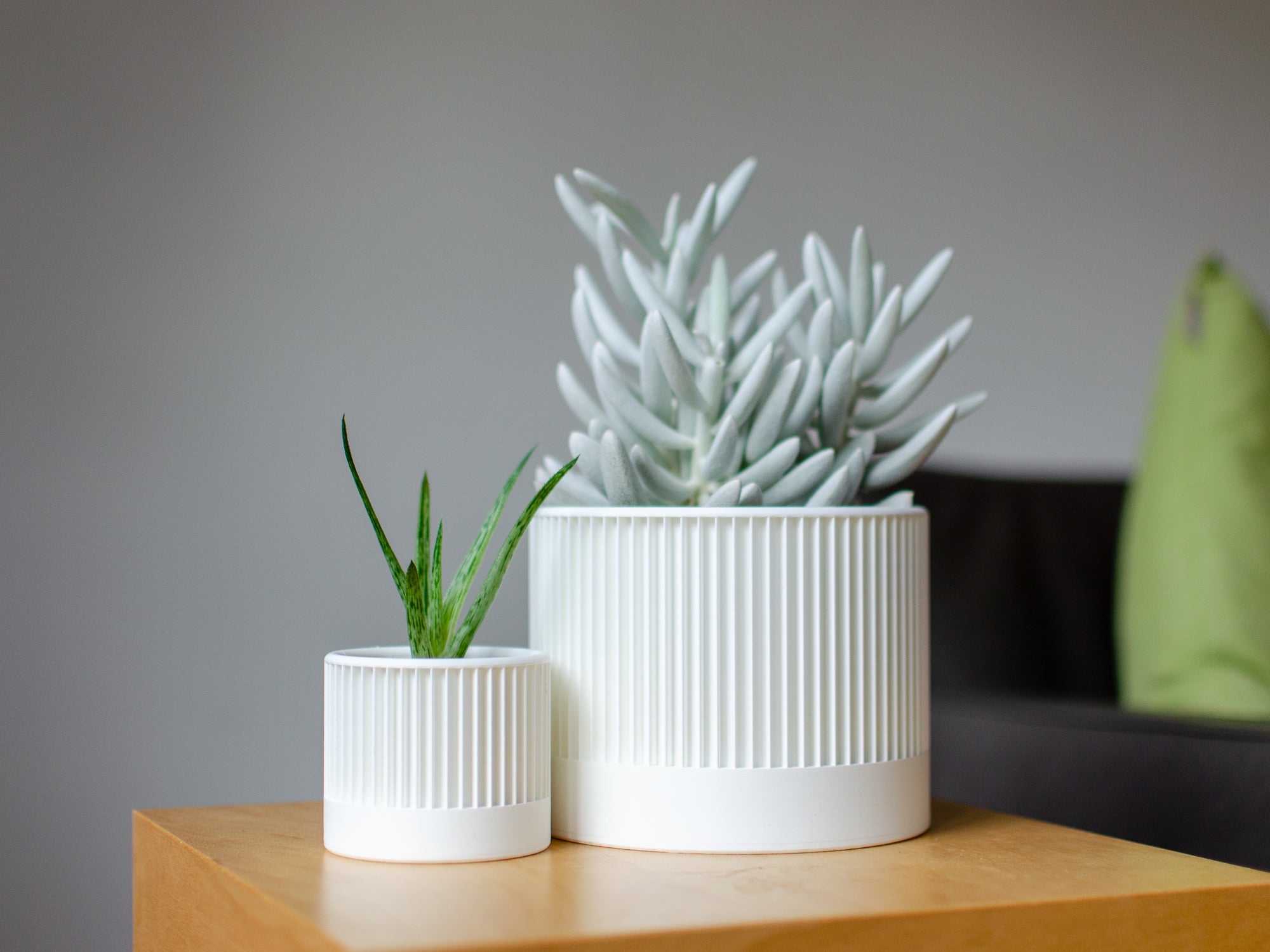 Planter Stripe