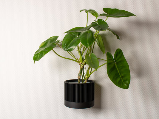 hanging planter - pot with wall mount