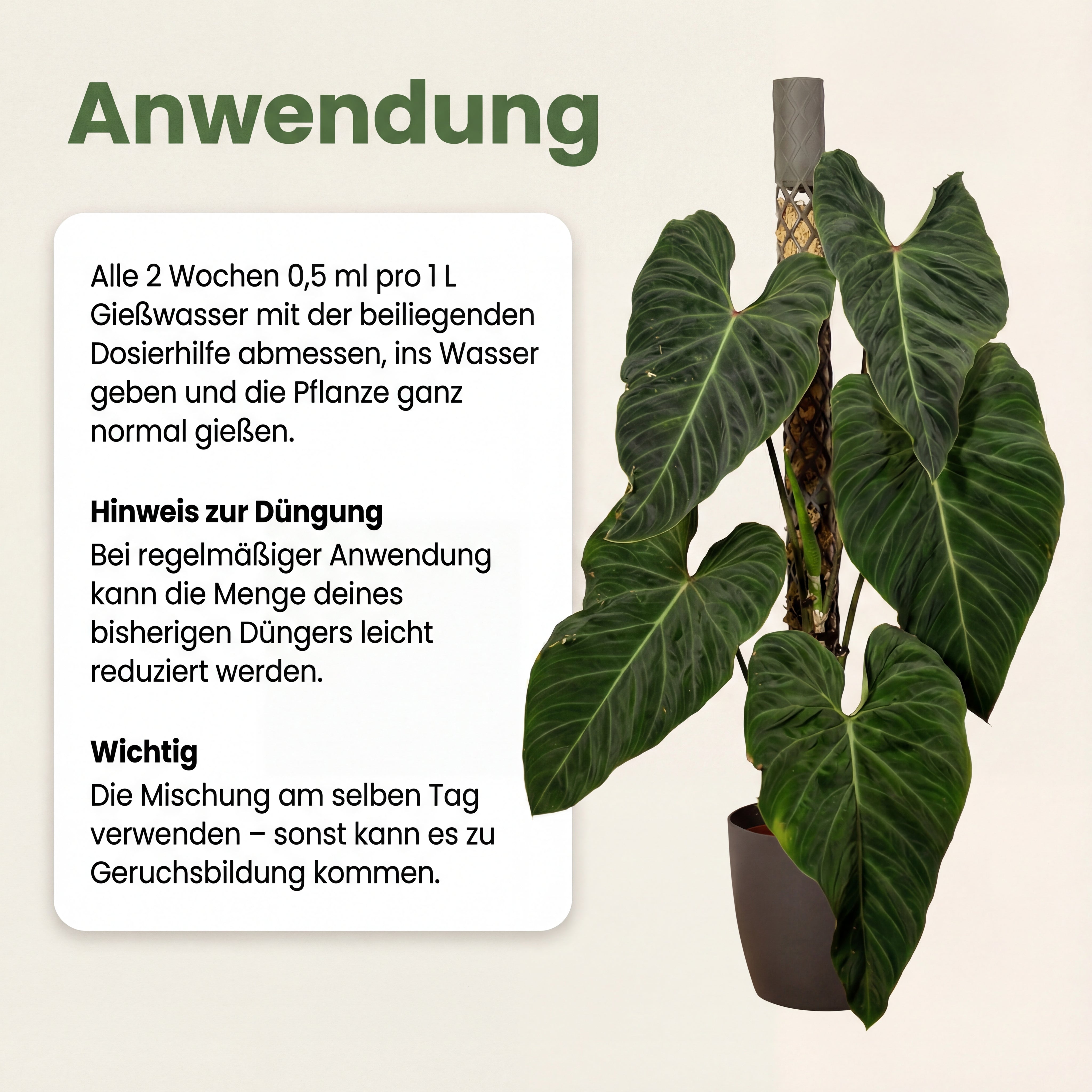 PlantMe Thrive Aminosäuren für Pflanzen, Zur Anwendung in aktiven Wachstumsphasen, Ideal für Monstera, Philodendron