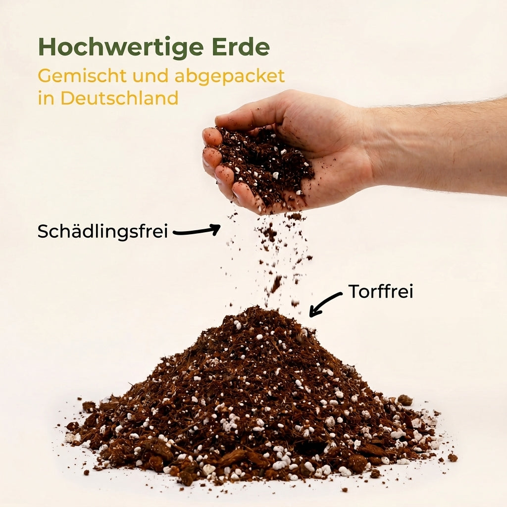 Aroid Mix, Monstera Erde, Philodendron Erde, Anthurium Erde, torffrei