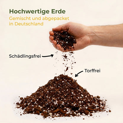 Aroid Mix, Monstera Erde, Philodendron Erde, Anthurium Erde, torffrei