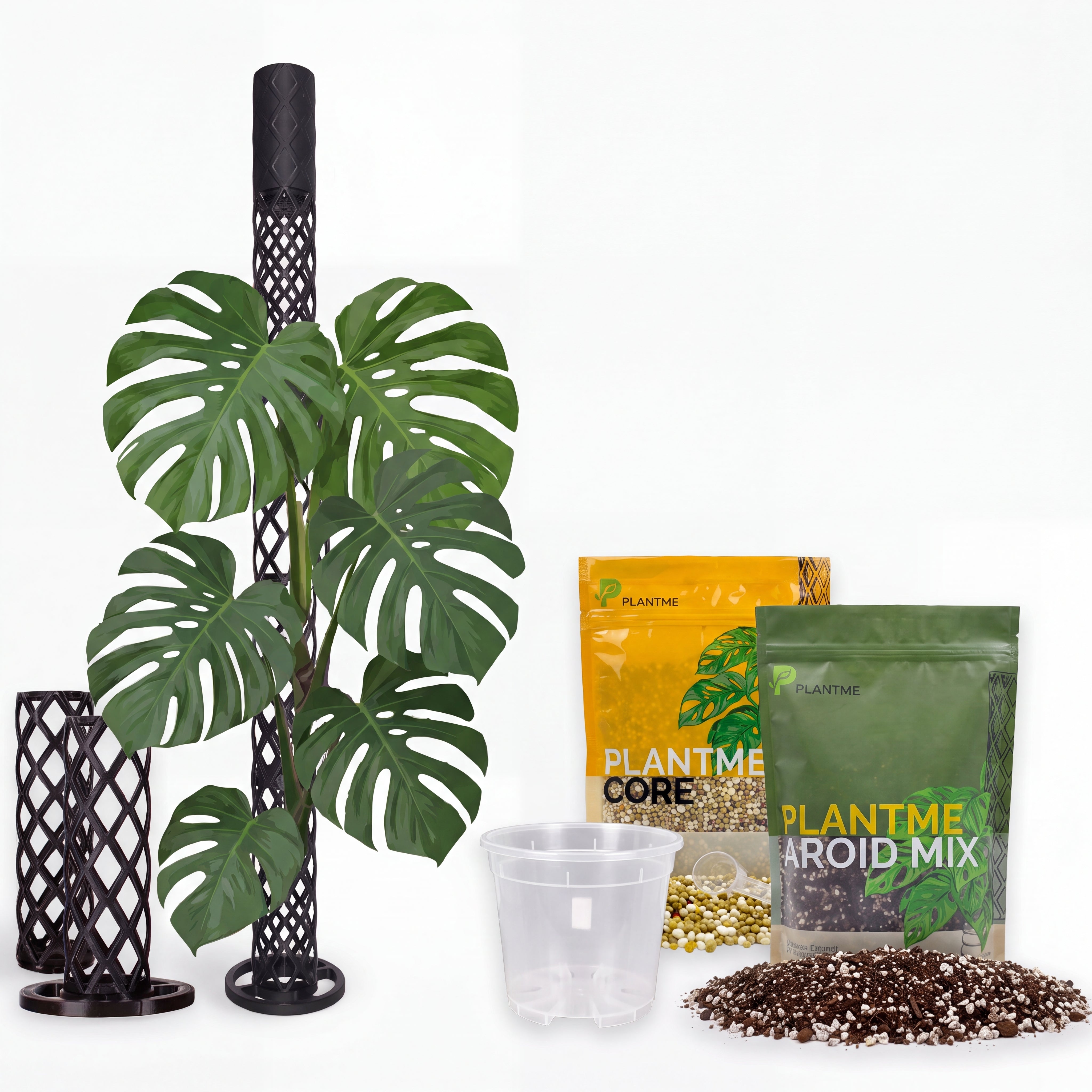 Monstera Starter Set | Spare 10€ + 5m Klettband geschenkt