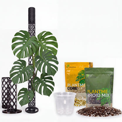 Monstera Starter Set | Spare 10€ + 5m Klettband geschenkt