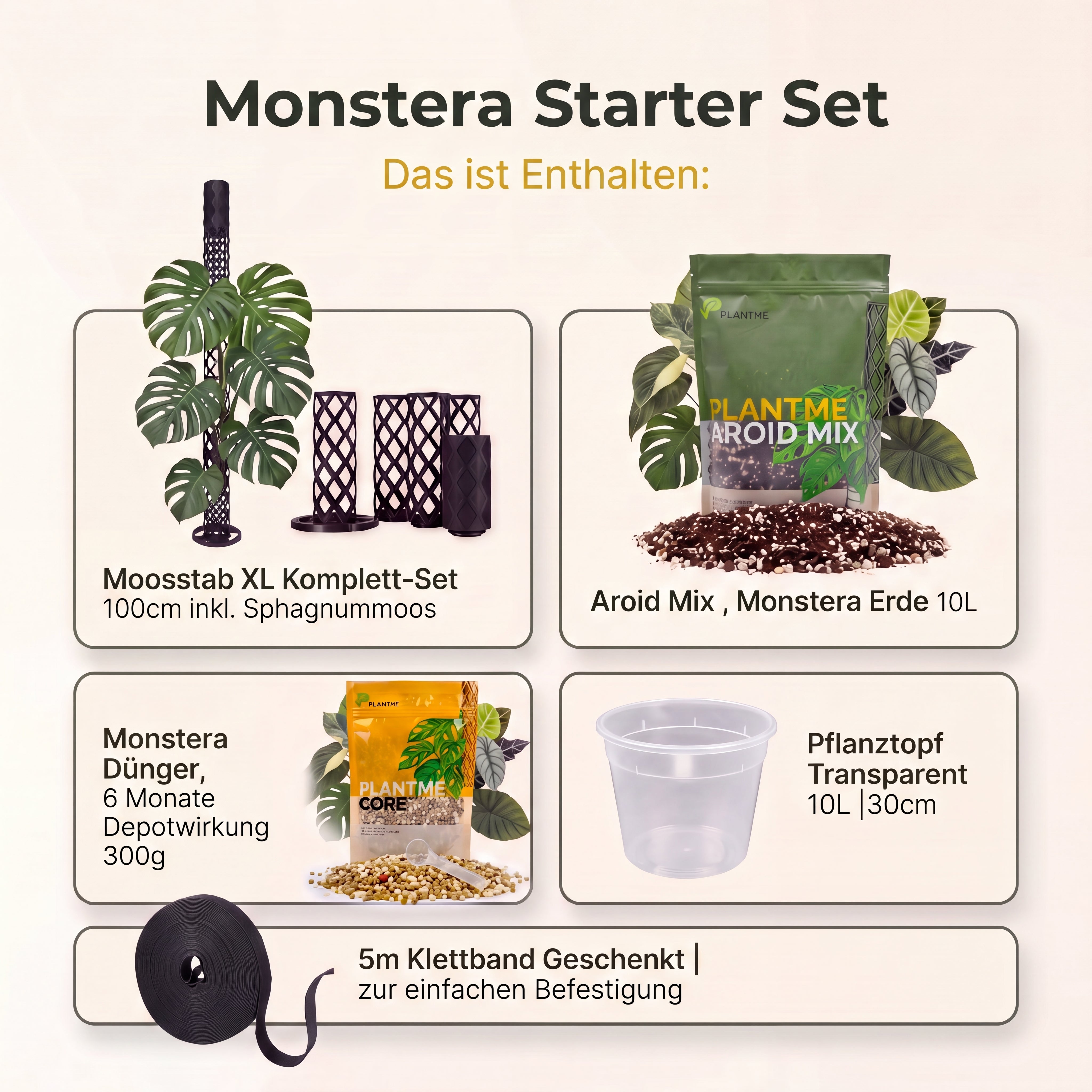 Monstera Starter Set | Spare 10€ + 5m Klettband geschenkt