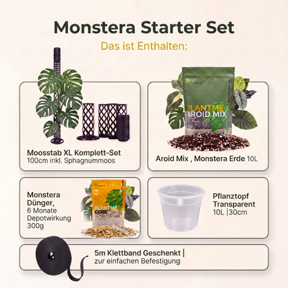 Monstera Starter Set | Spare 10€ + 5m Klettband geschenkt