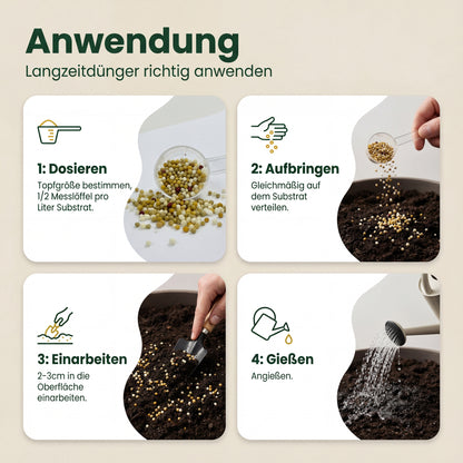 Zimmerpflanzen Dünger, Monstera Dünger, Philodendron, Anthurien, Alocasia, 6 Monate Depotwirkung