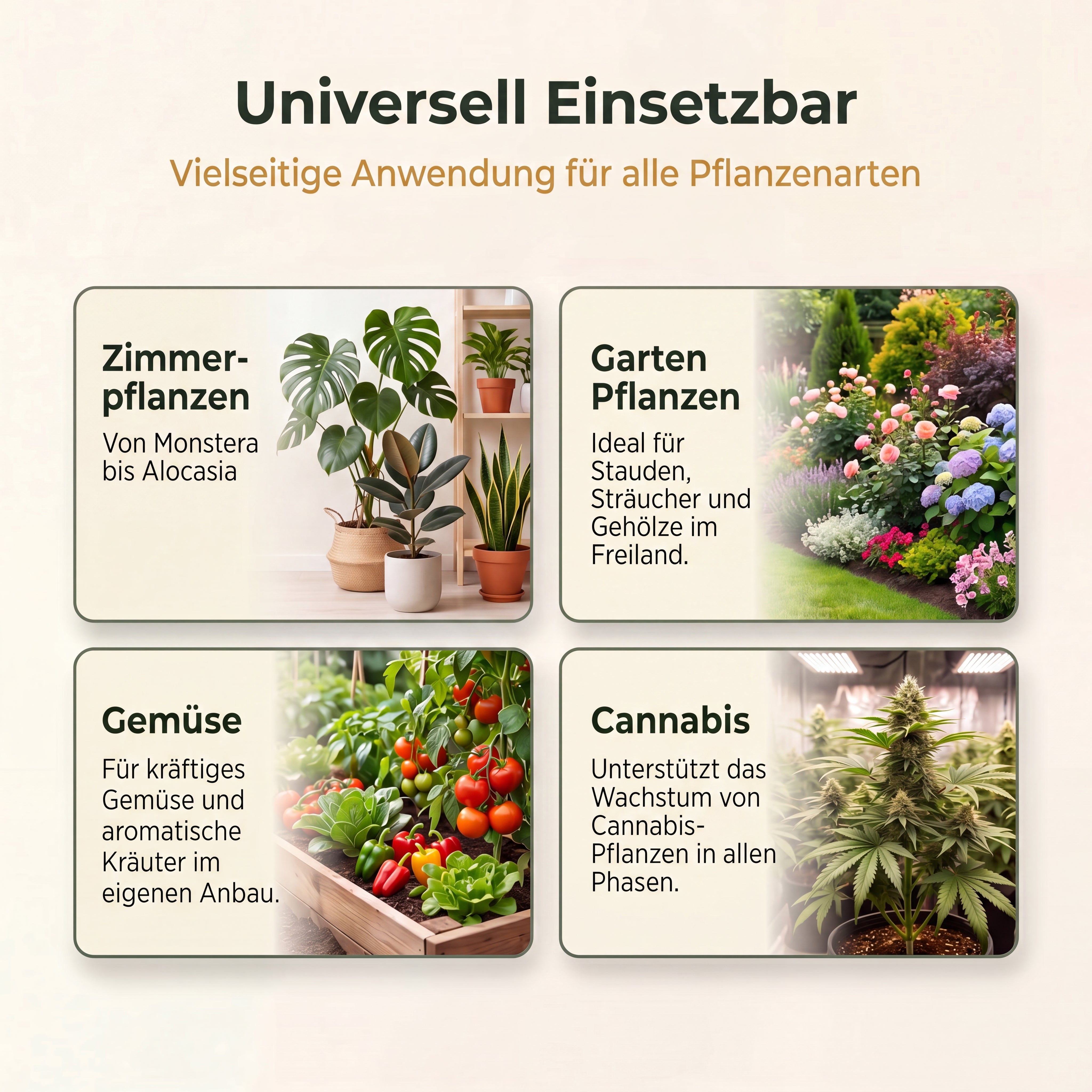 PlantMe Rooted, unterstützender Komplex für den Wurzelbereich
