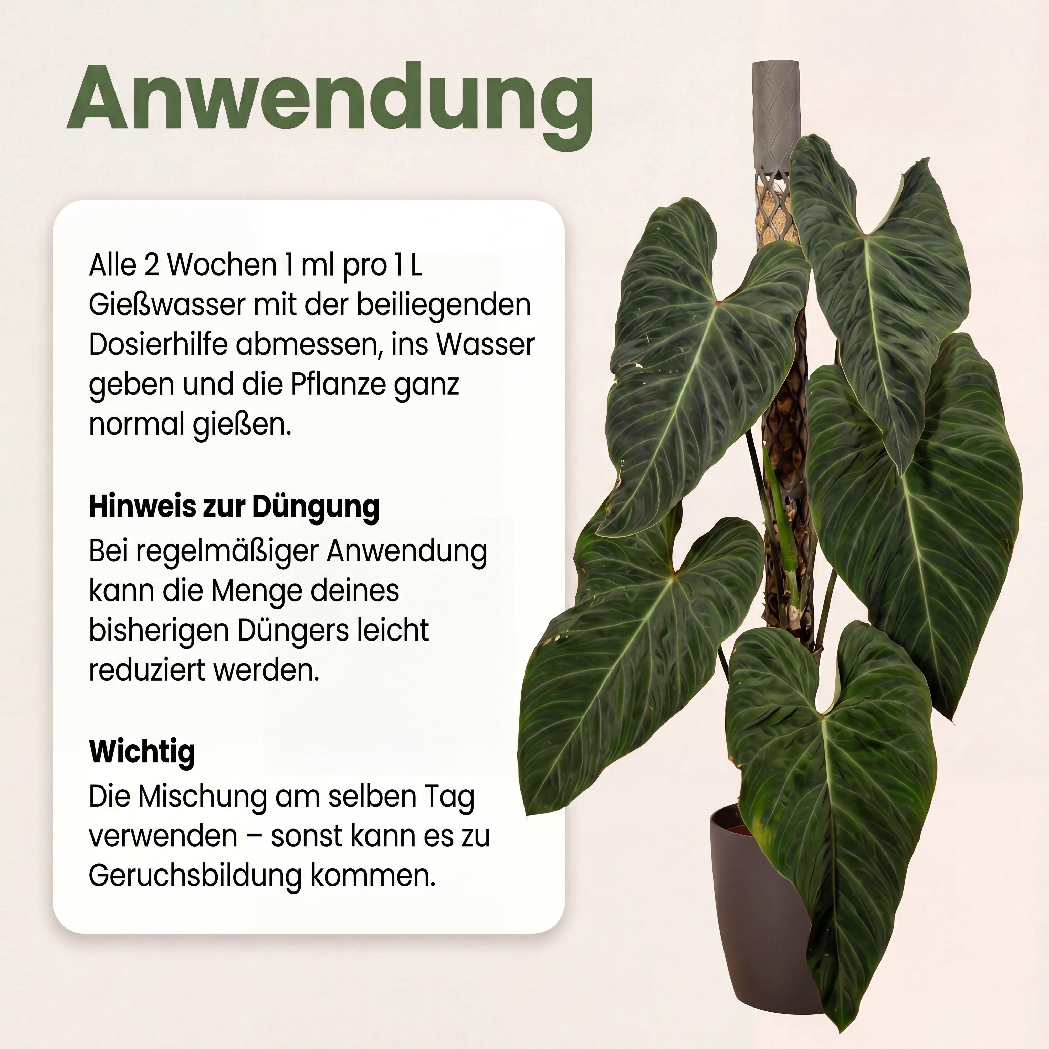 PlantMe Rooted, unterstützender Komplex für den Wurzelbereich
