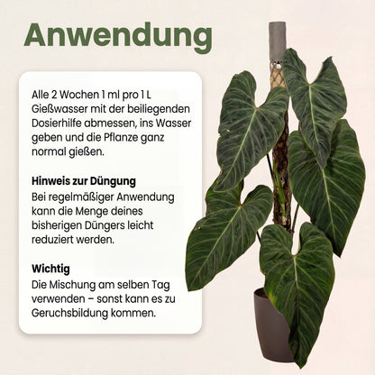 PlantMe Rooted, unterstützender Komplex für den Wurzelbereich