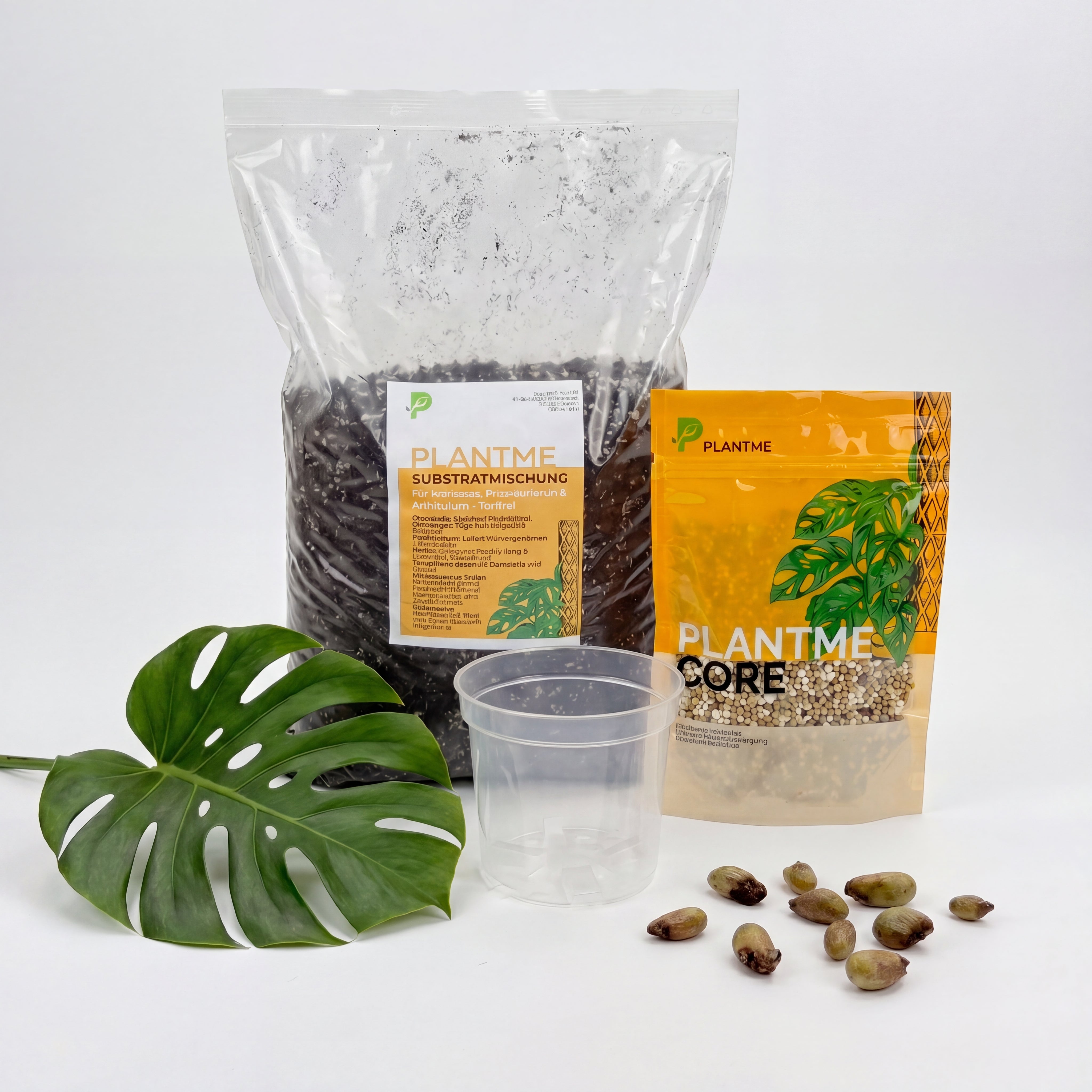 PlantMe Monstera deliciosa 10 Samen