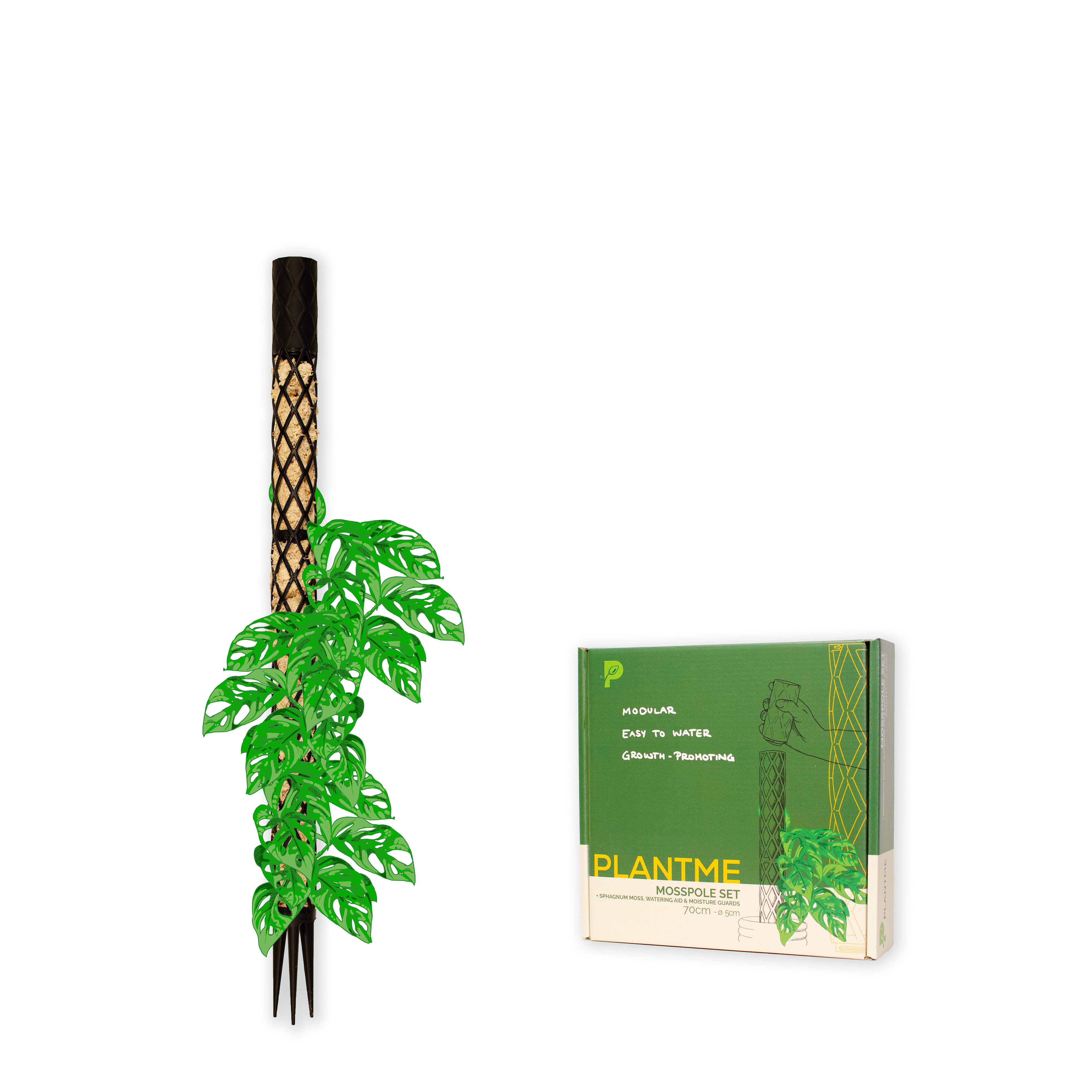 Moosstab Midi Komplett-Set 70cm inkl. Sphagnummoos