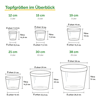 Orchideentopf Transparent, Pflanztopf durchsichtig 12-38cm