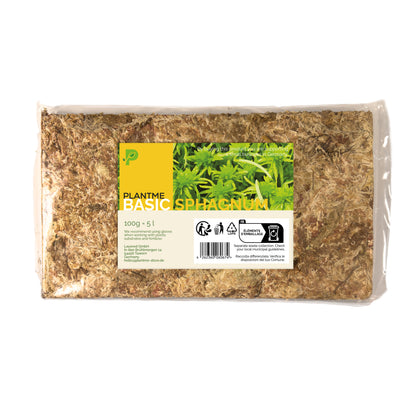 Sphagnum Moos aus Chile