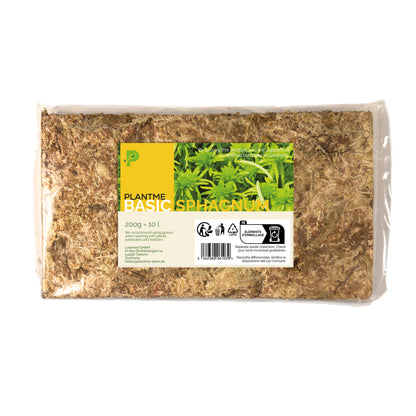 Sphagnum Moos aus Chile