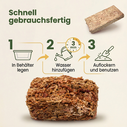 Sphagnum Moos aus Chile